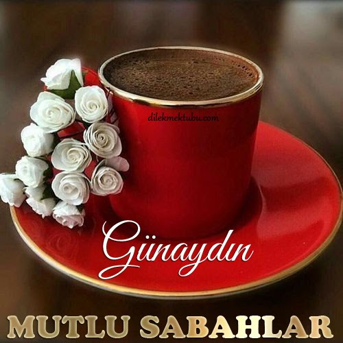 Dostlara Günaydın Mesajları