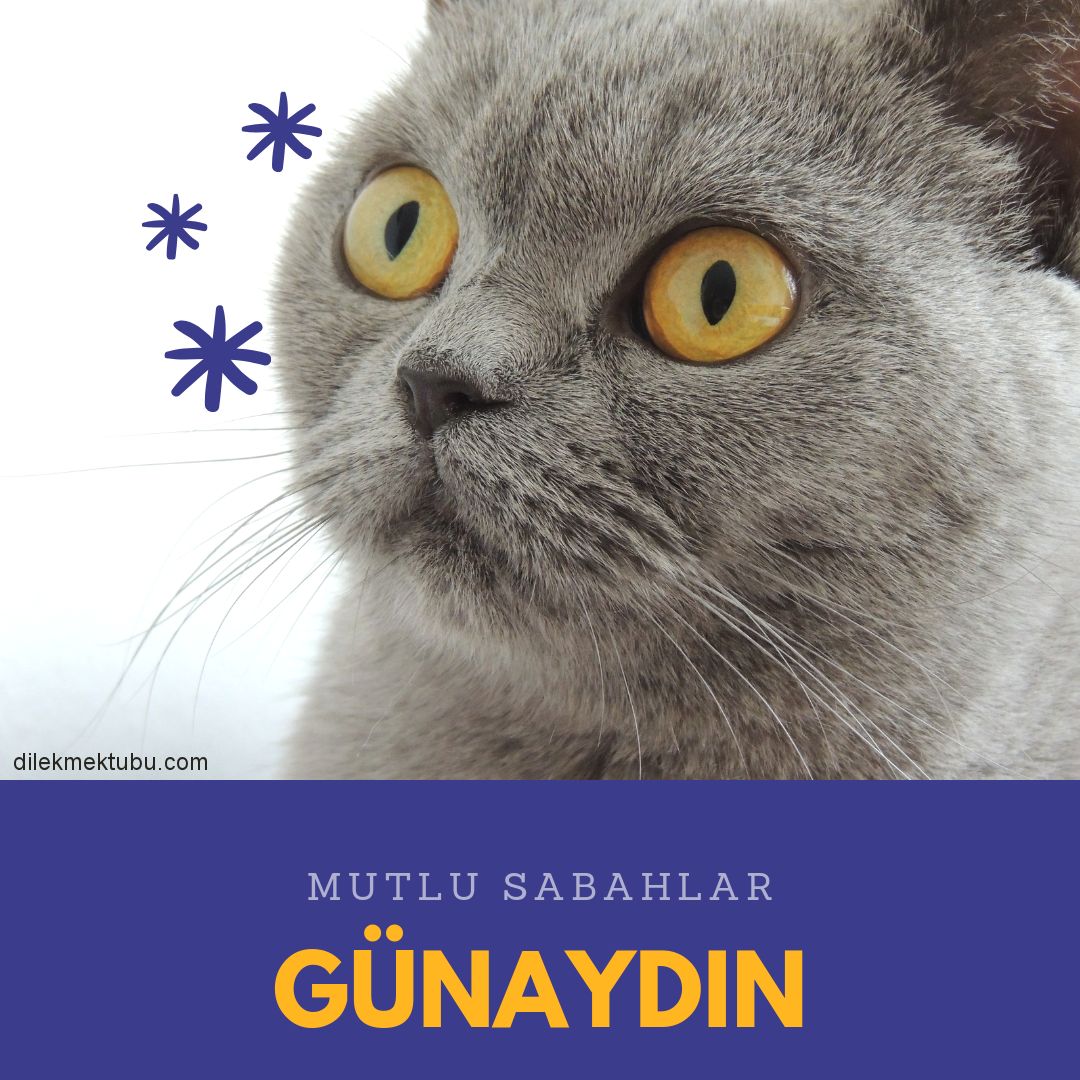 mutlu sabahlar