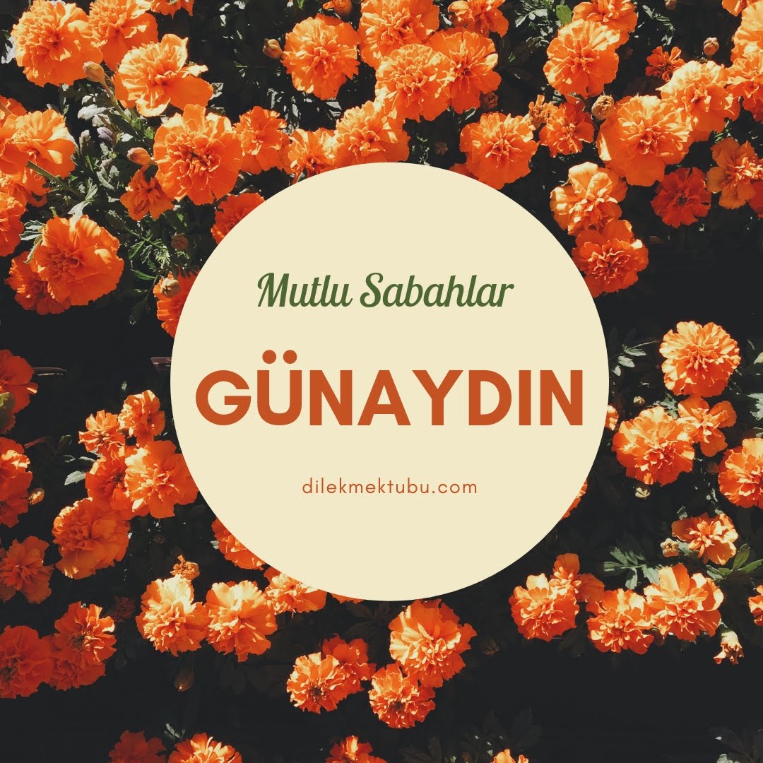 dostlara günaydın mesajları