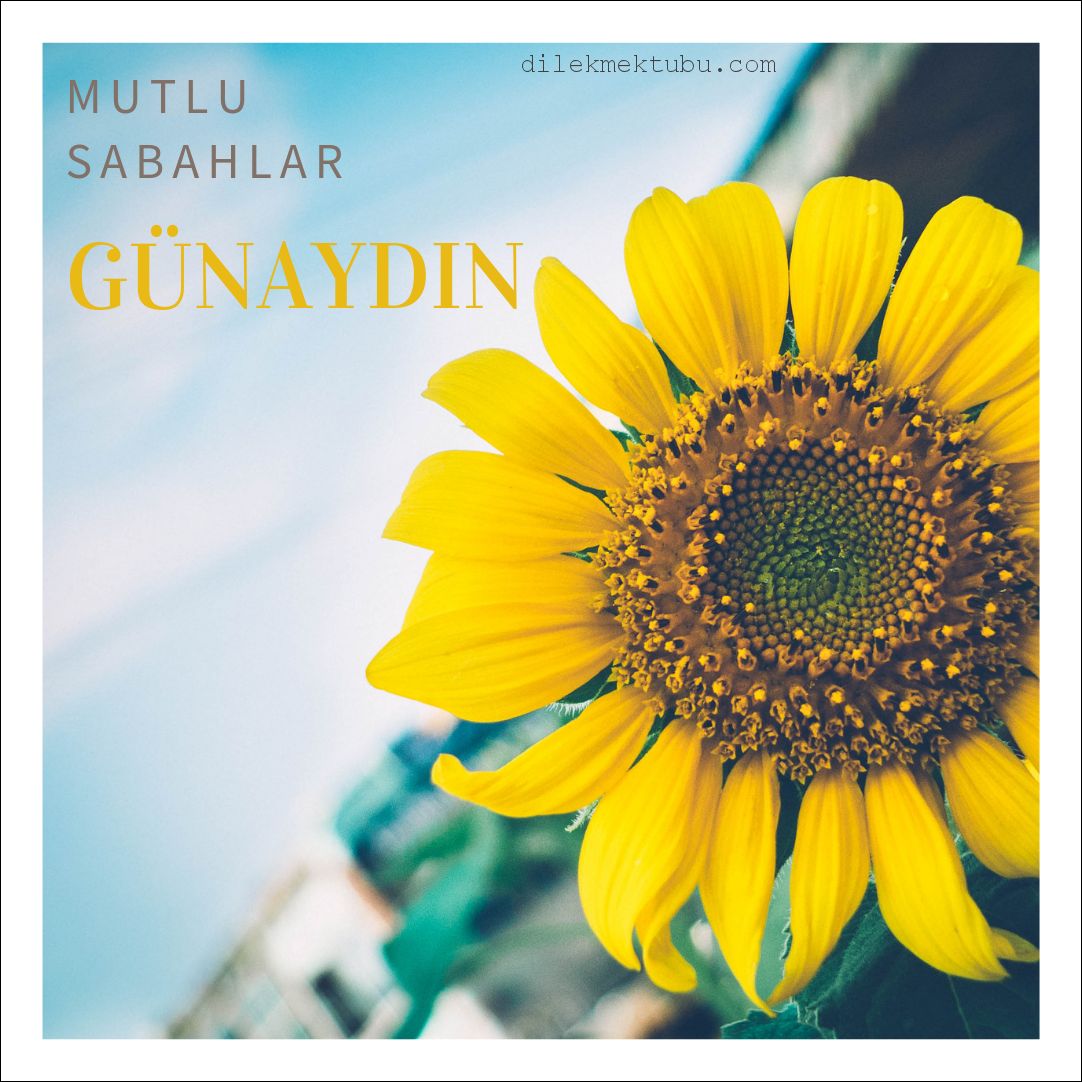 günaydın
