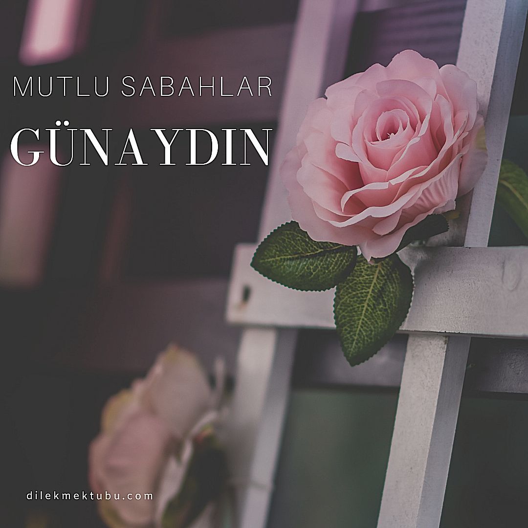 anlamlı günaydın mesajları 