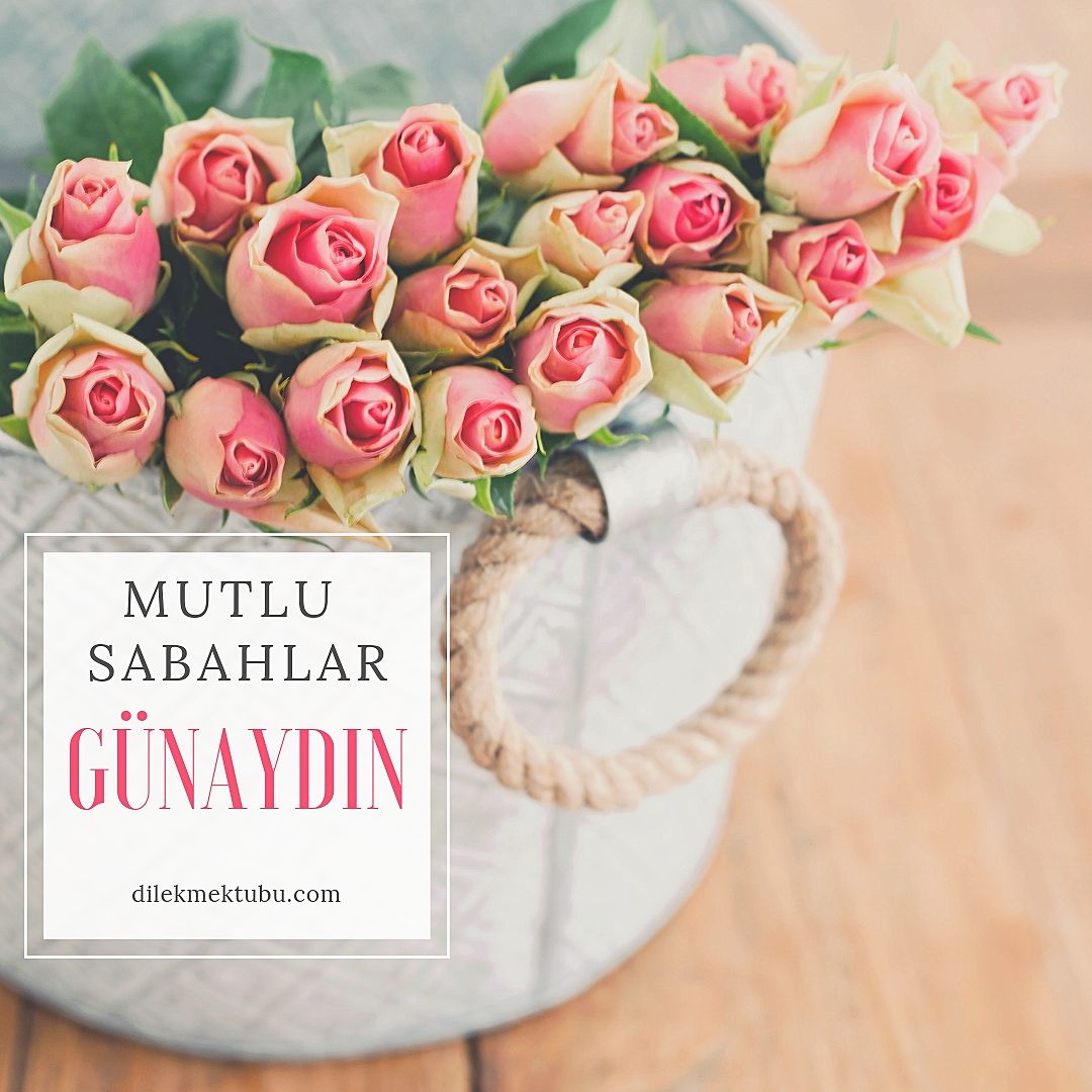 Etkileyici Günaydın Mesajları