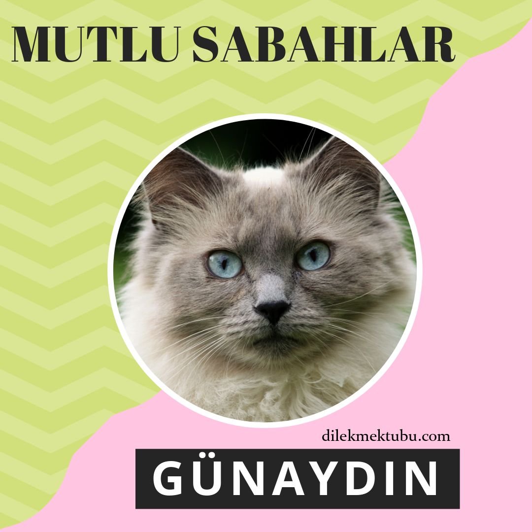mutlu sabahlar