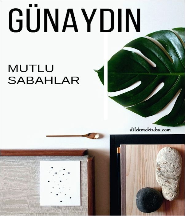 Günaydınlar