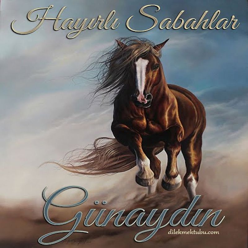 Günaydın Mesajları