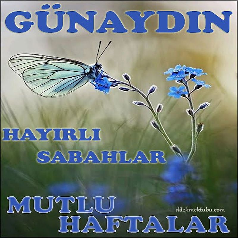 mutlu sabahlar