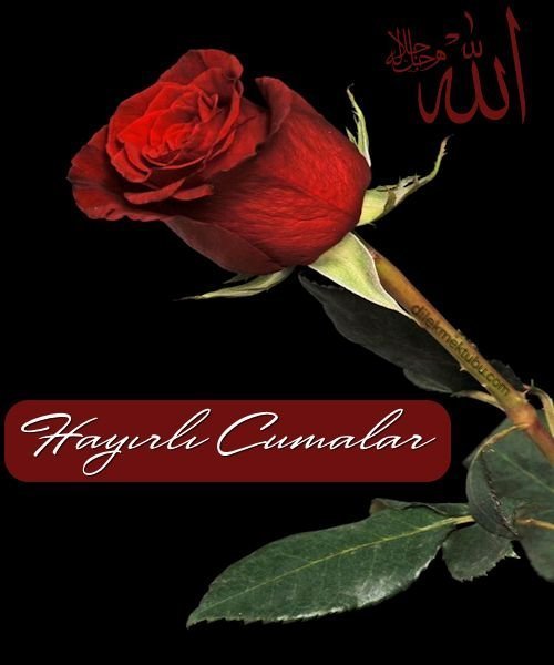 Hayırlı Cumalar Mesajları