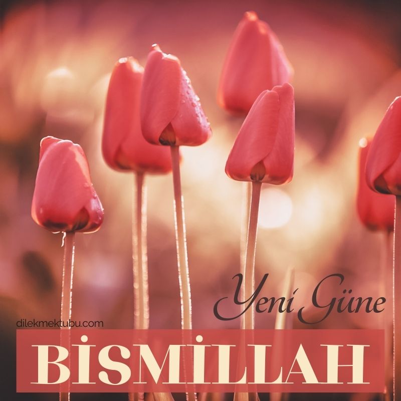 yeni güne bismillah