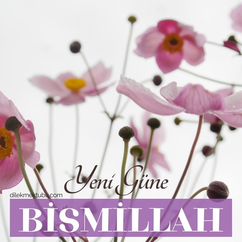 Dini Sabah Mesajları