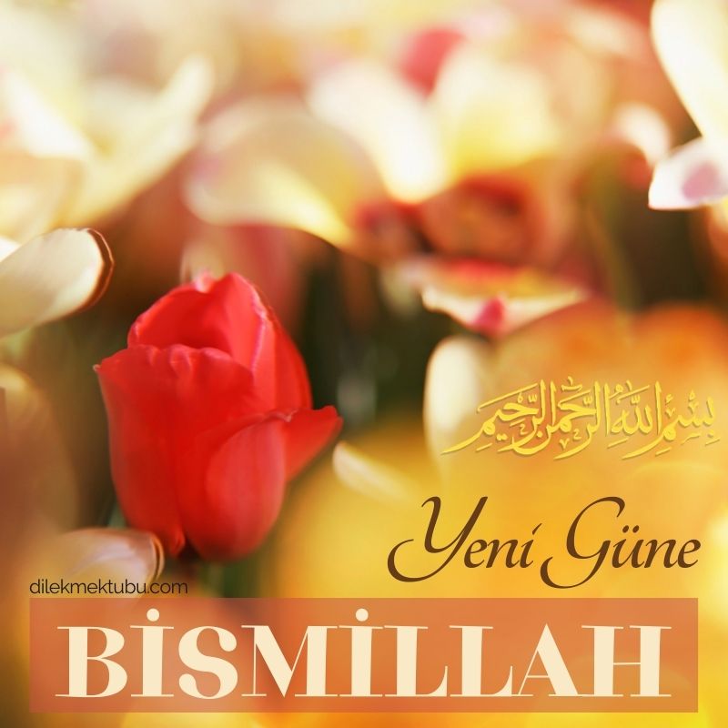 Dini Sabah Mesajları