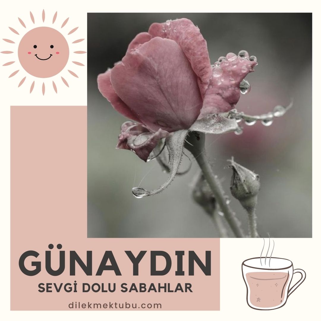 günaydın mesajları