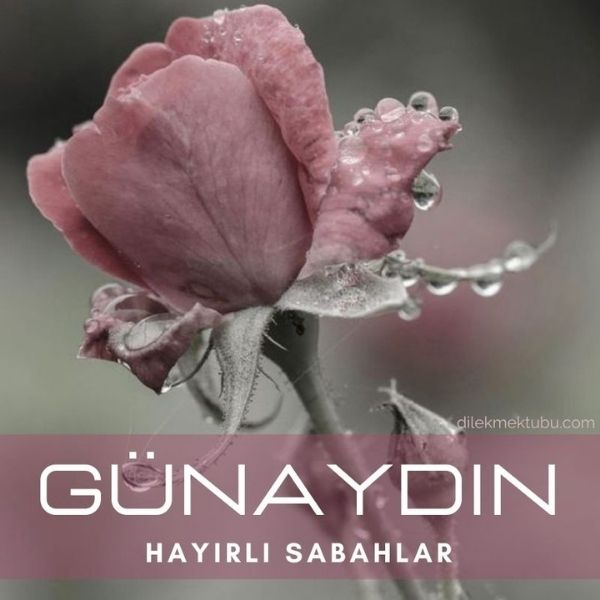 Günaydın Mesajı Yolla