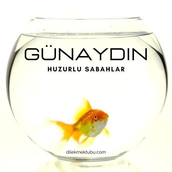 günaydın mesajları