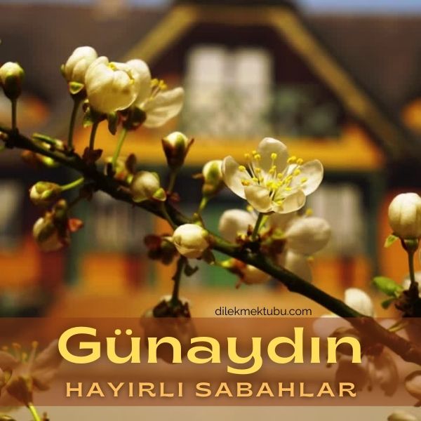 Günaydın Huzurlu Sabahlar