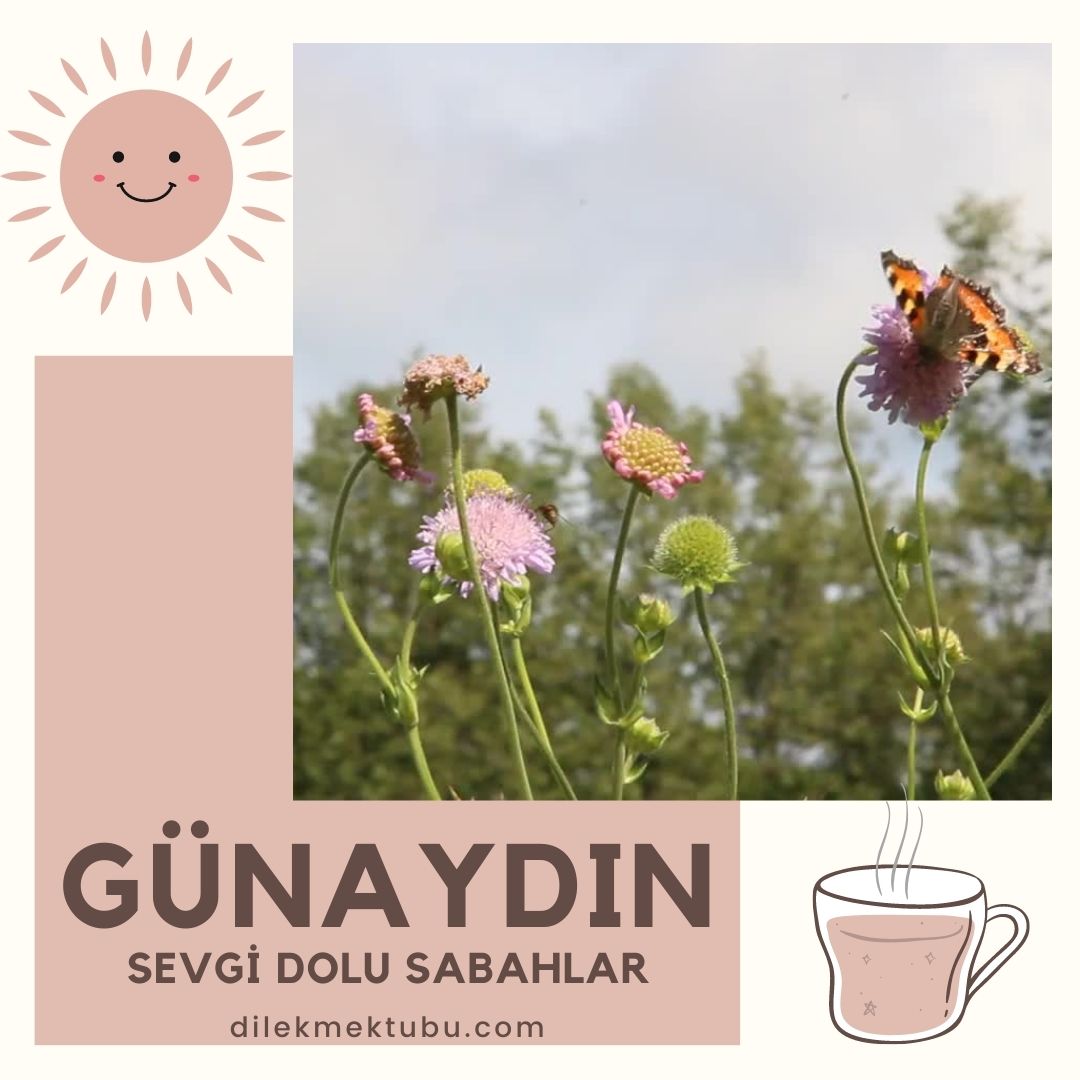 Günaydın mesajı yolla.