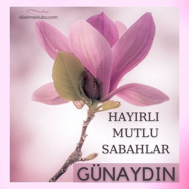 Günaydın tüm dostlara