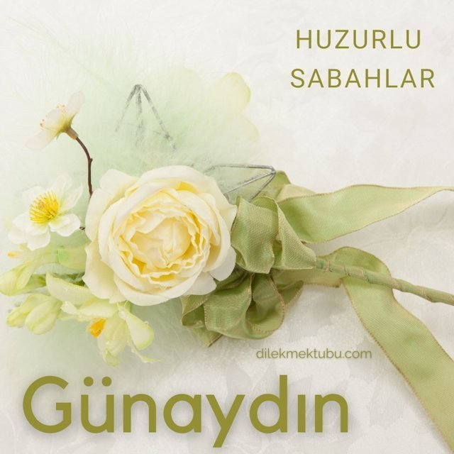 Günaydın tüm dostlara