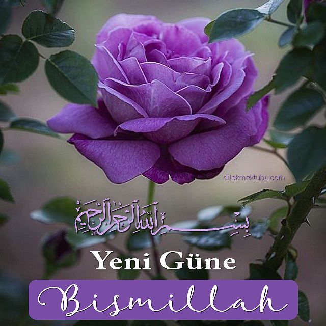 yeni güne bismillah