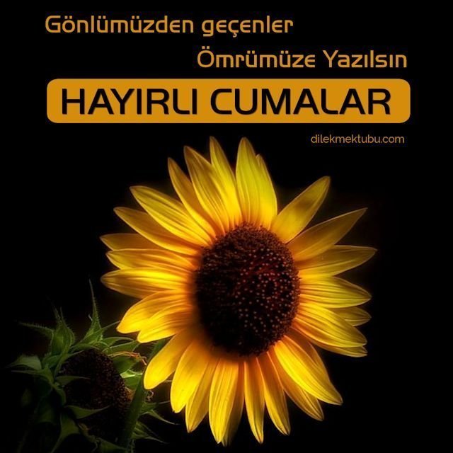 Dualı En Güzel Cuma Mesajları