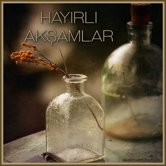 iyi akşamlar mesajı