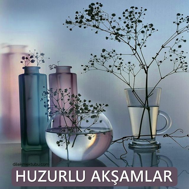 iyi akşamlar mesajı