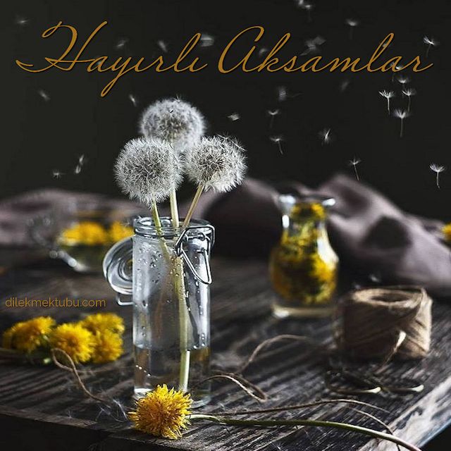Hayırlı Huzurlu Akşamlar mesajları