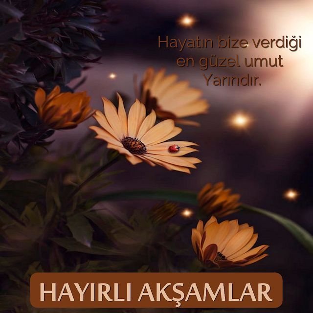 Hayırlı Akşamlar mesajları