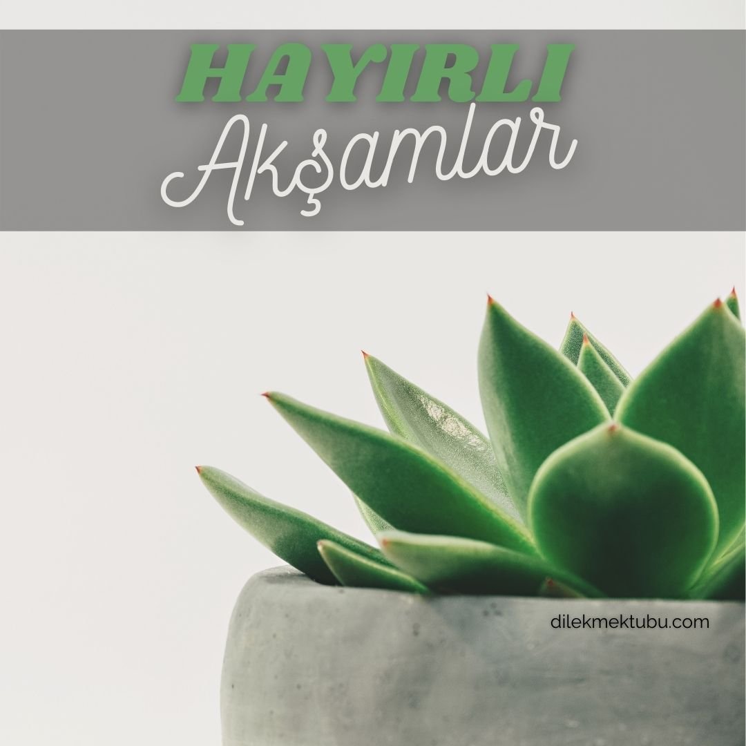 iyi akşamlar mesajı