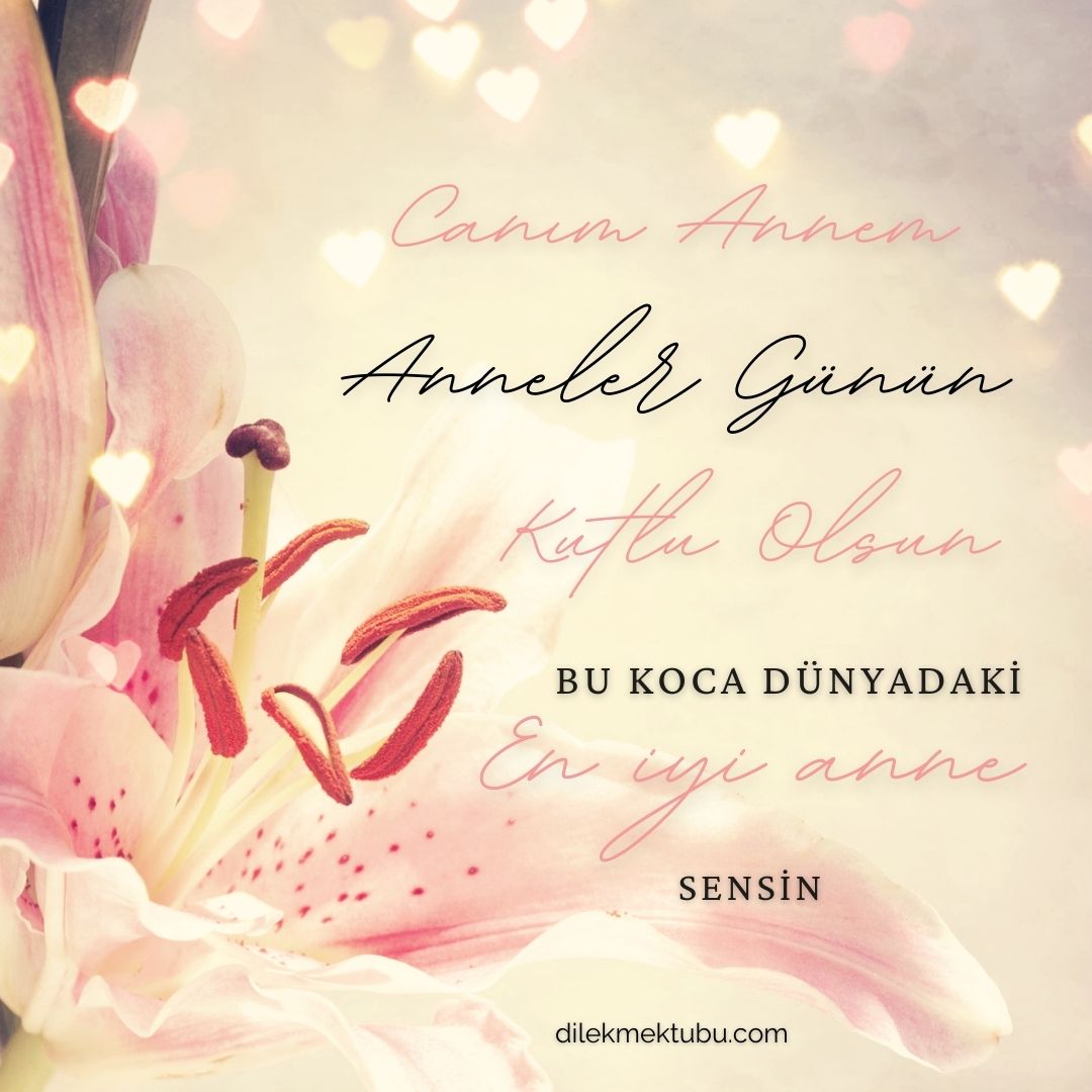 Anneler Günü Mesajları