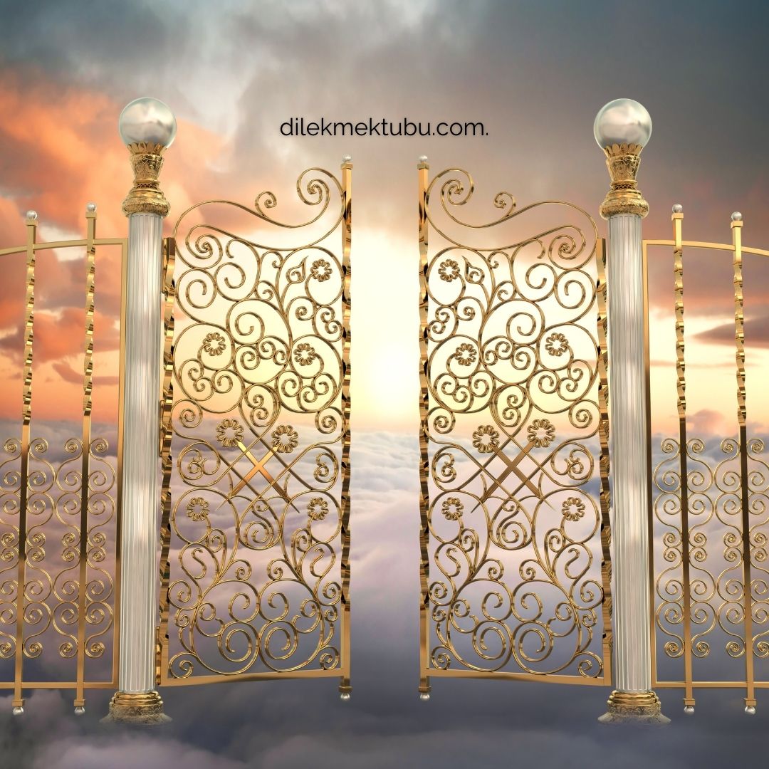 Mutluluk Kapısı / Dr. Gülseren Budayıcıoğlu