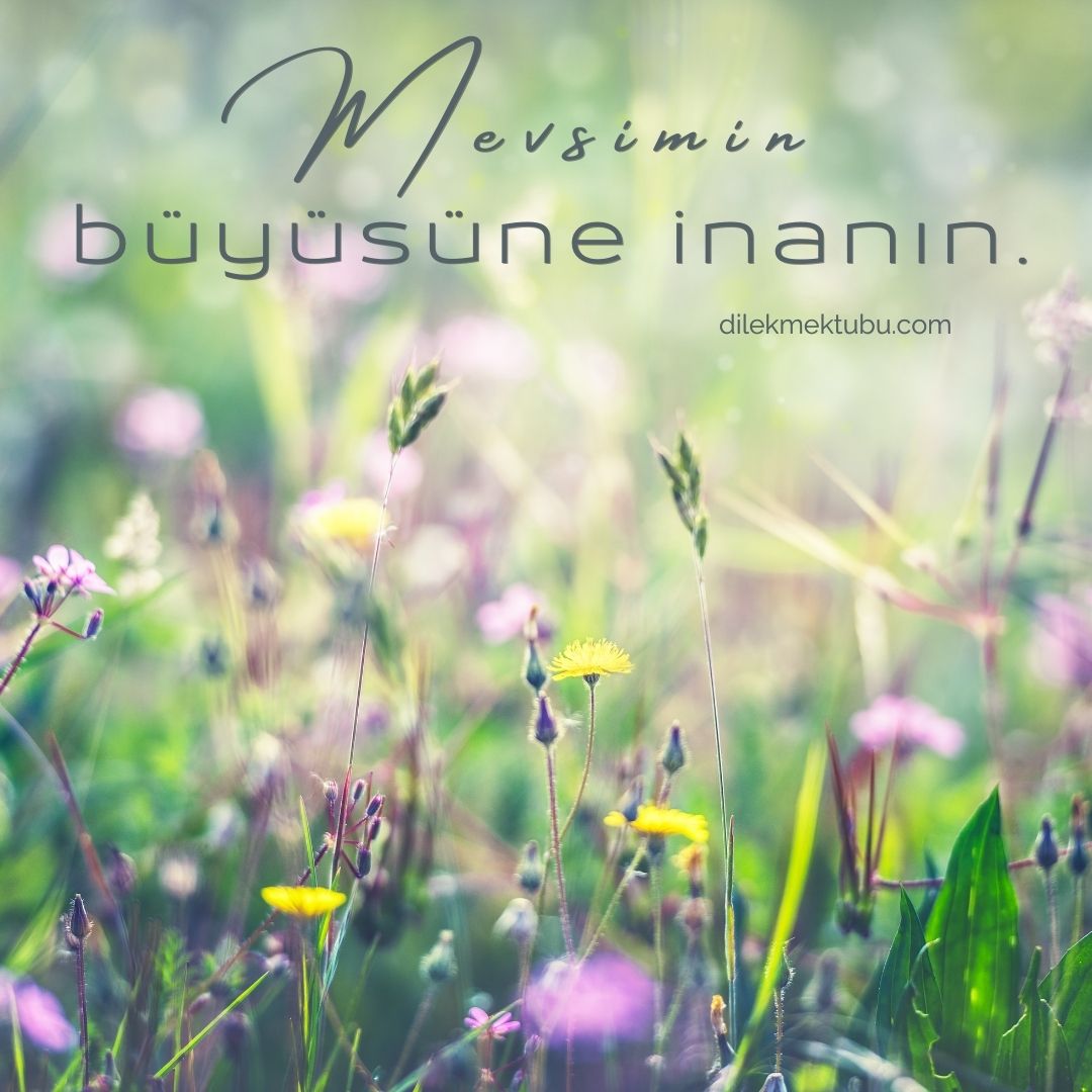 Motive Edici Resimli Sözler