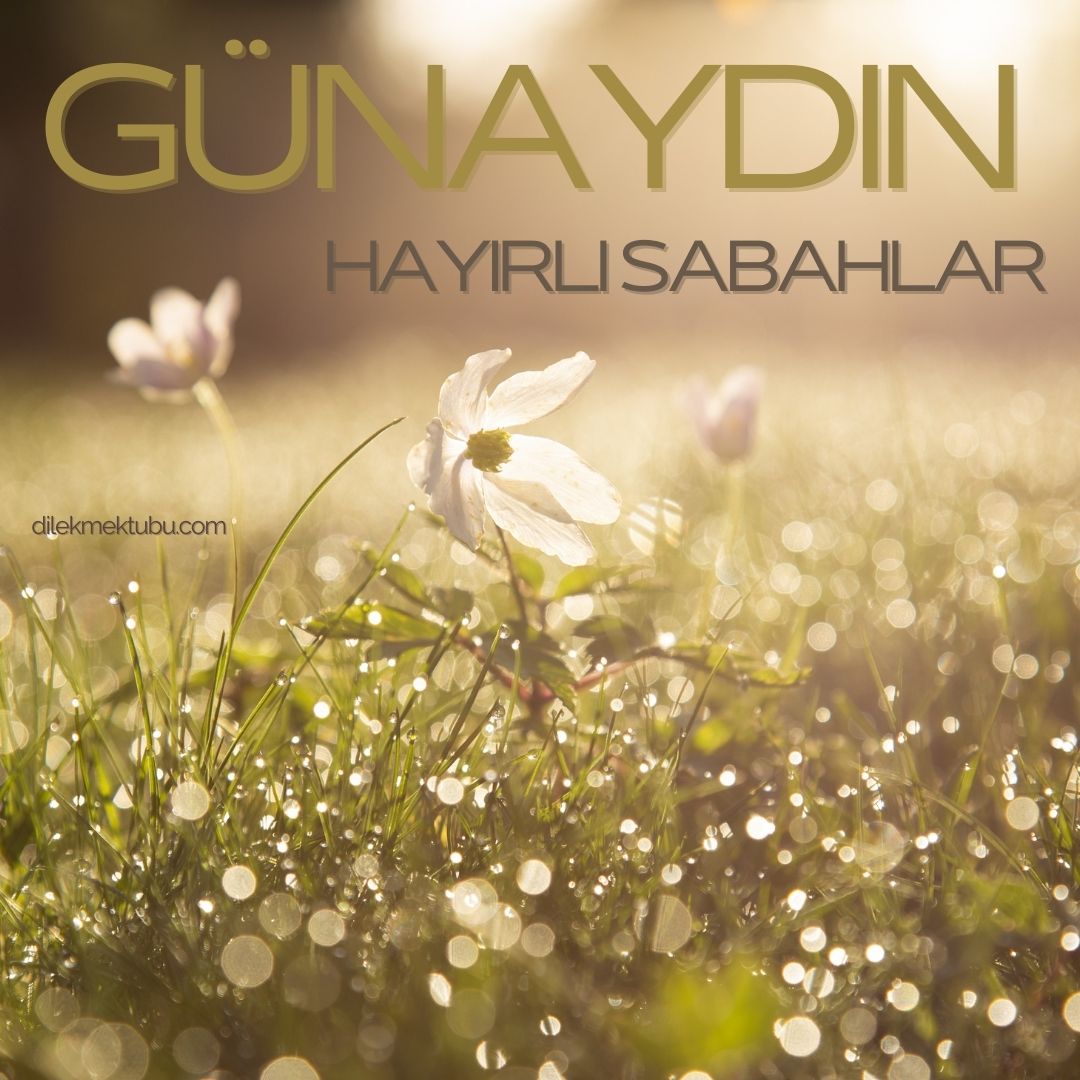 Dostlara Günaydın Mesajları