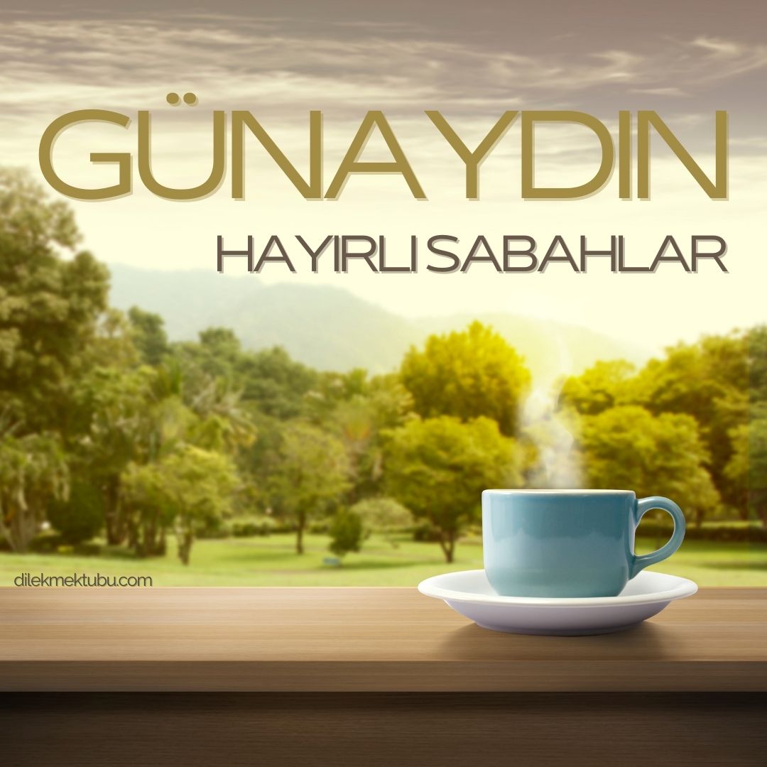 Dostlara Günaydın Mesajları