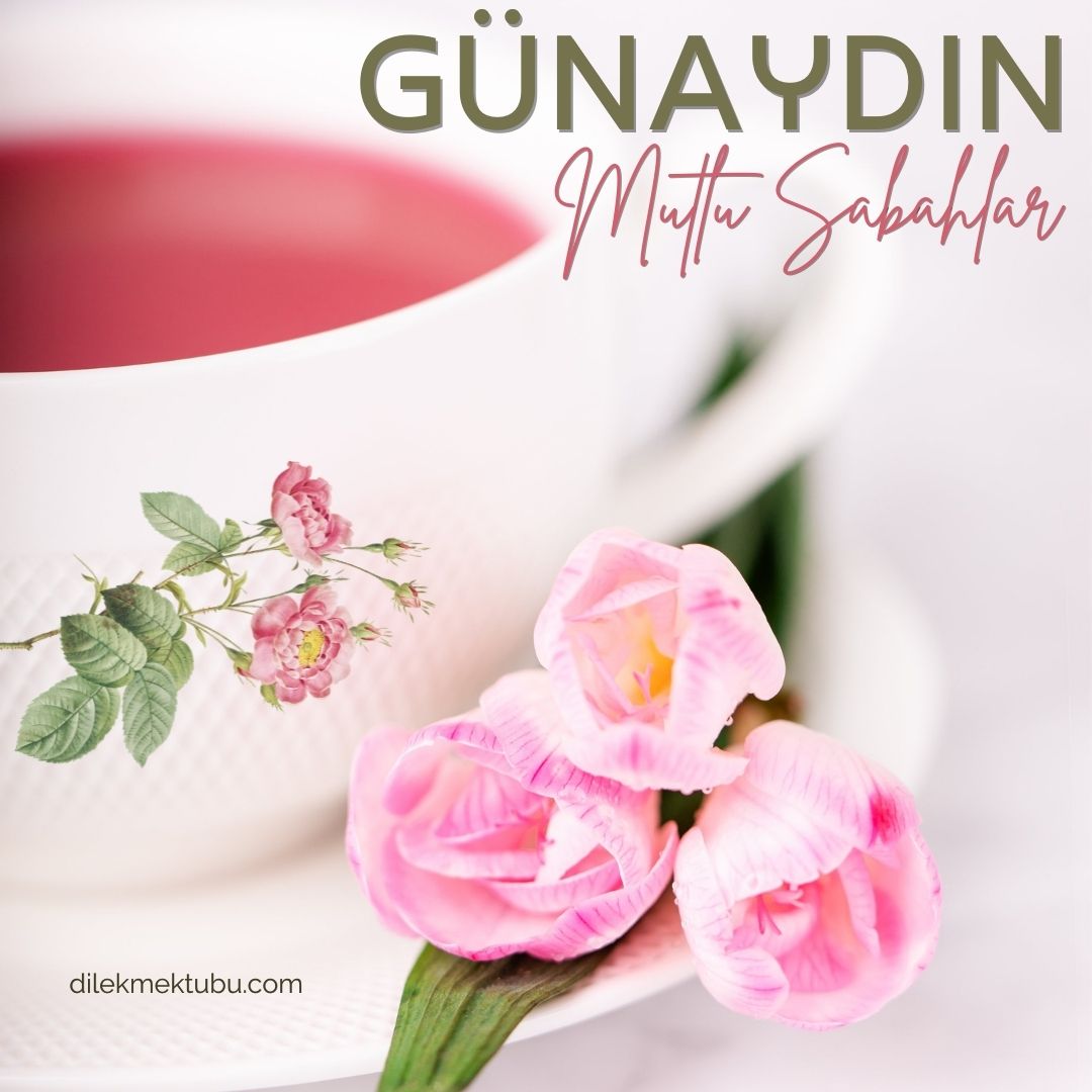 Dostlara Günaydın Mesajları