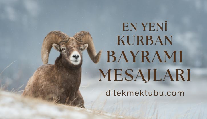 En Yeni Anlamlı Kurban Bayramı Mesajları