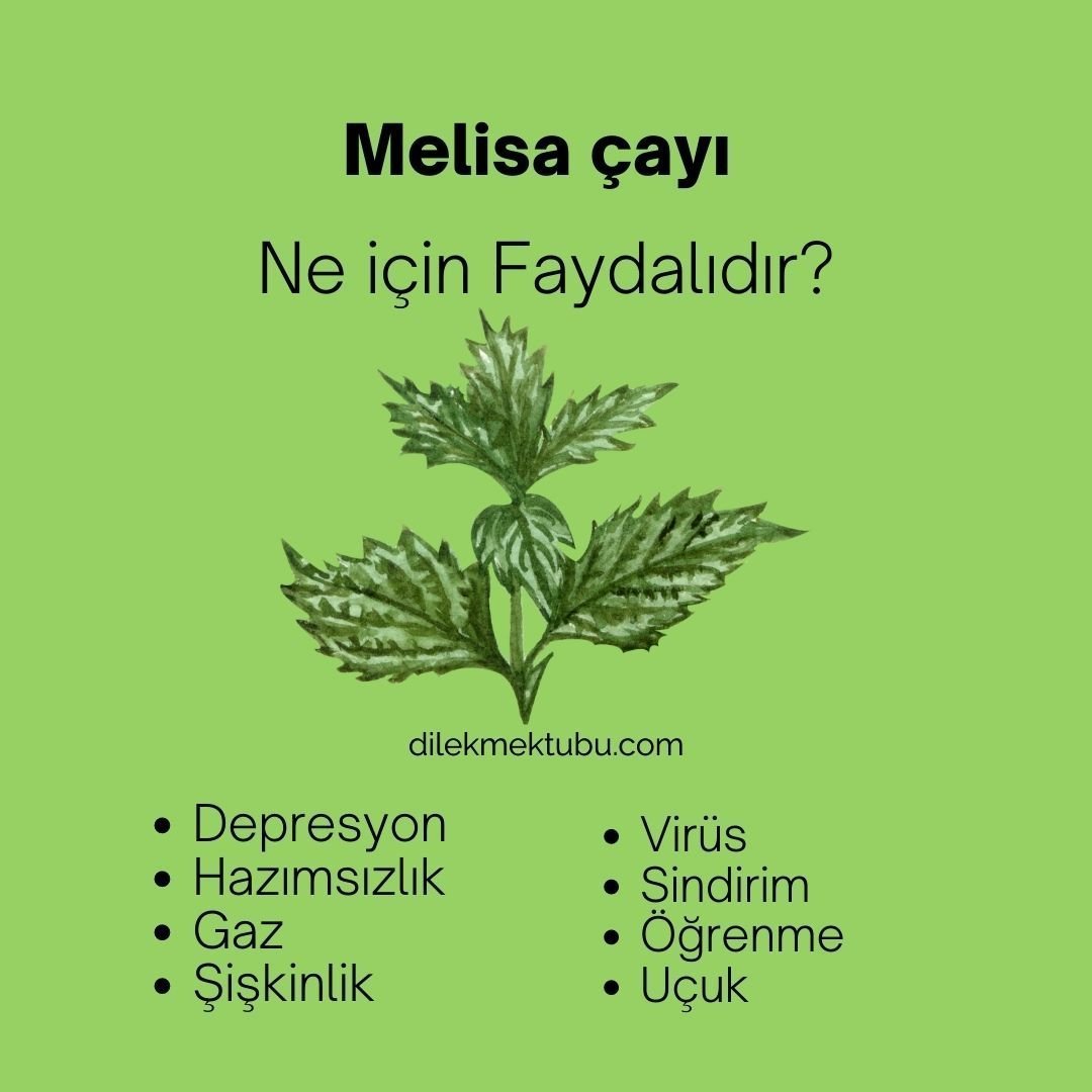 Resimli Faydalı Bitki Çayları 