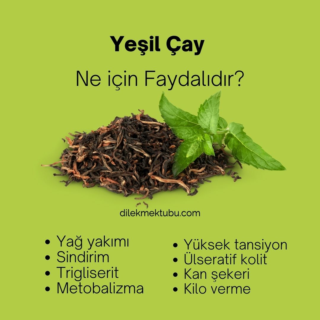 Resimli Faydalı Bitki Çayları 