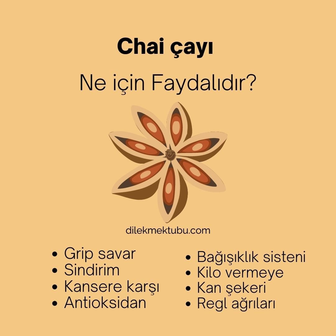 Resimli Faydalı Bitki Çayları 