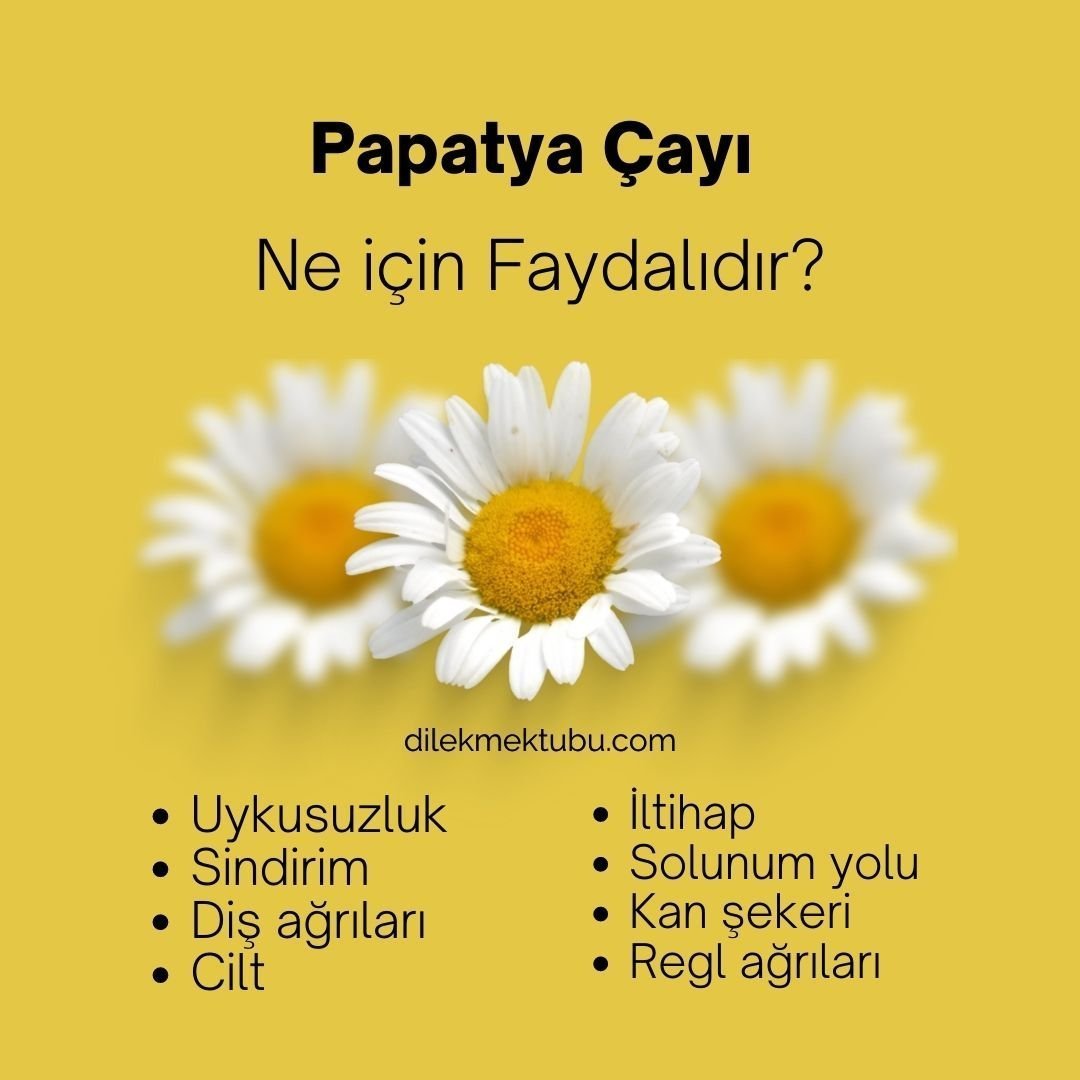 Resimli Faydalı Bitki Çayları 