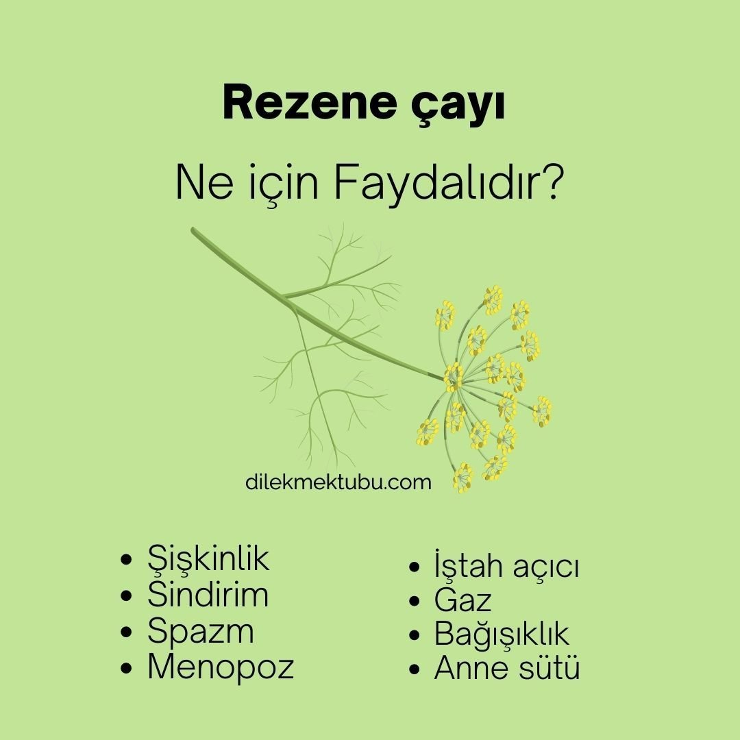 Bitki Çaylarının faydaları