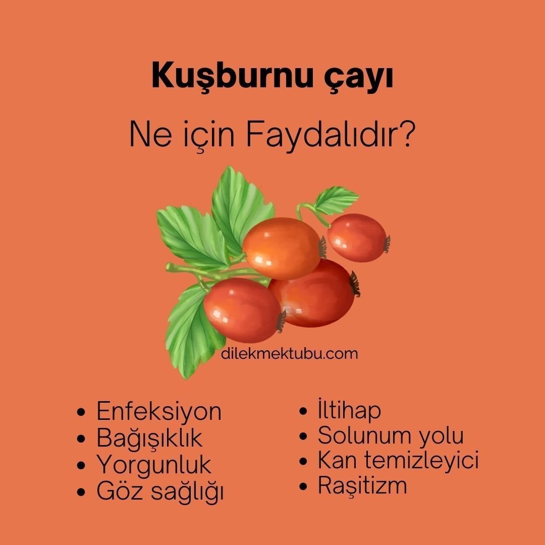 Resimli Faydalı Bitki Çayları 