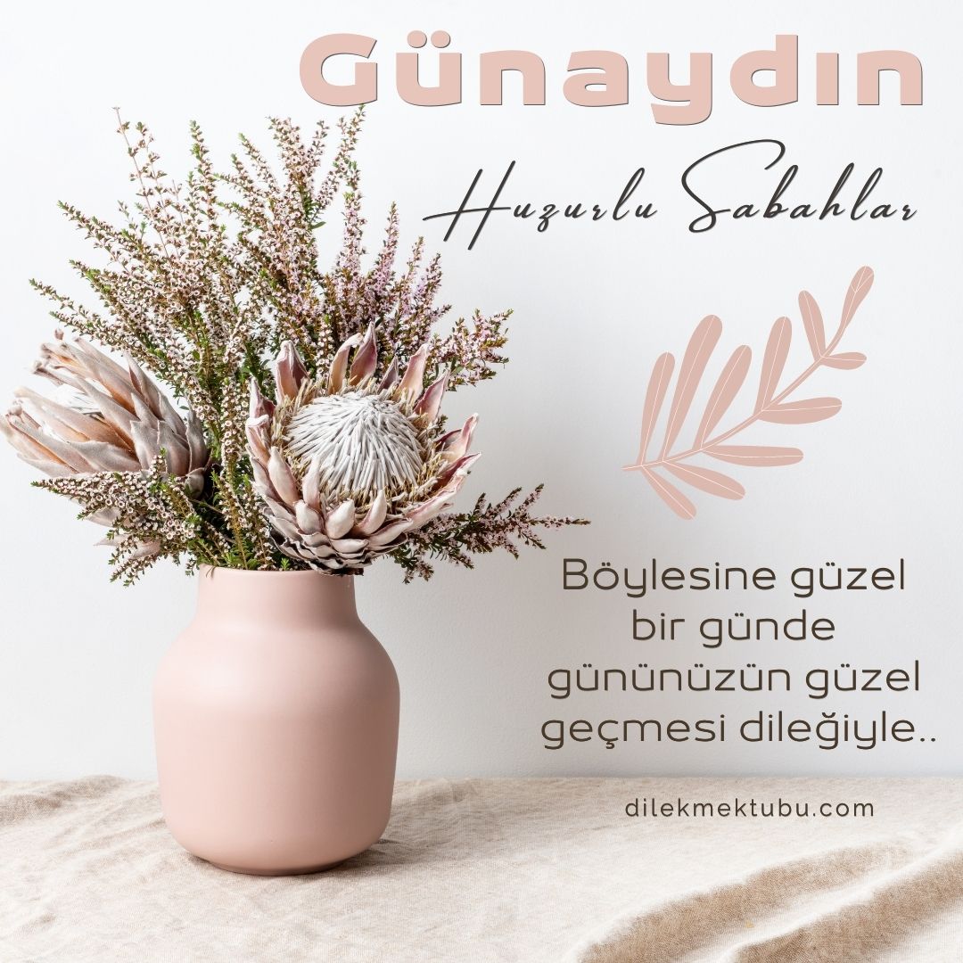 En Yeni Günaydın Mesajları