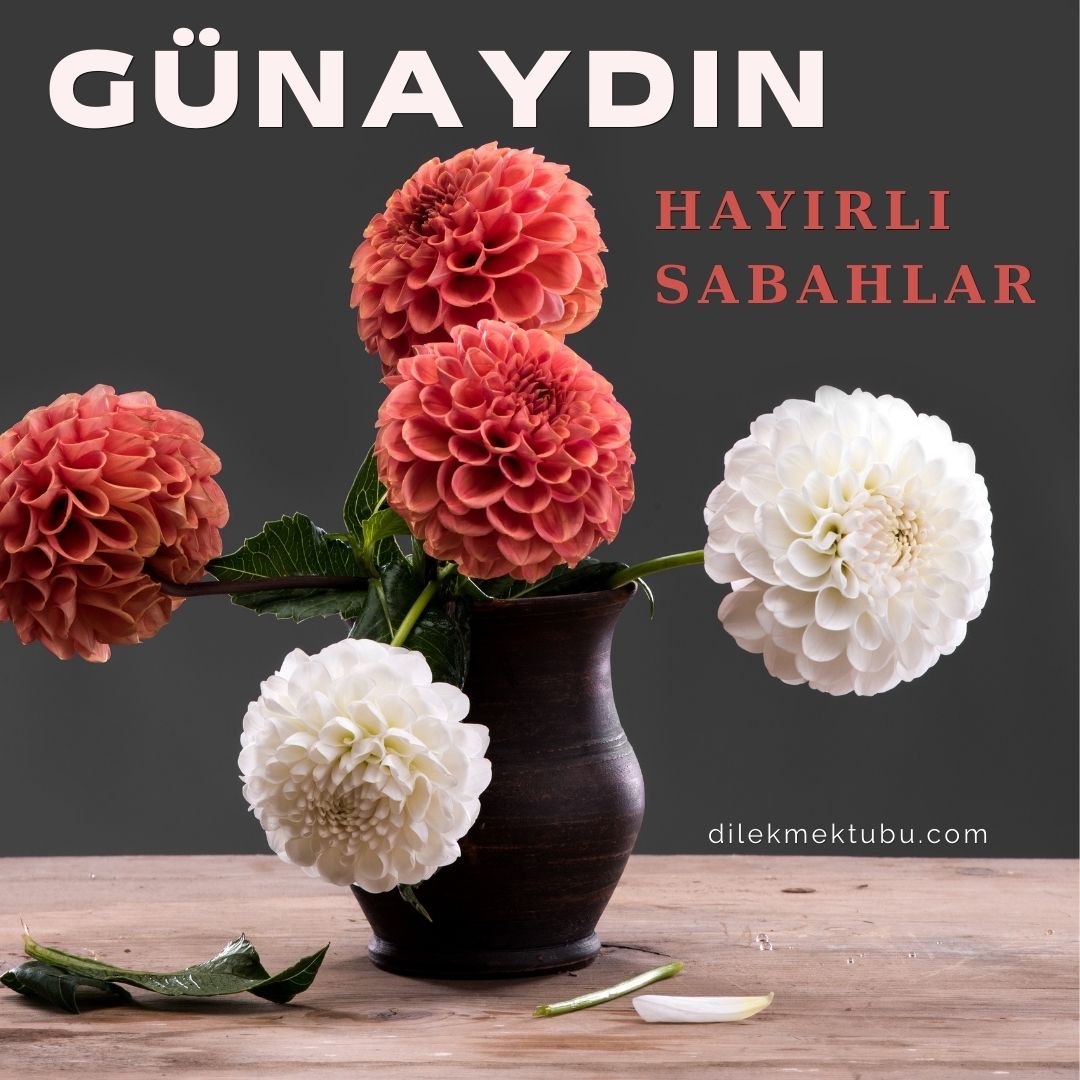 En Yeni Günaydın Mesajları