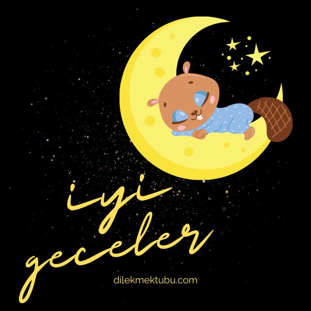 Resimli İyi Geceler Mesajları