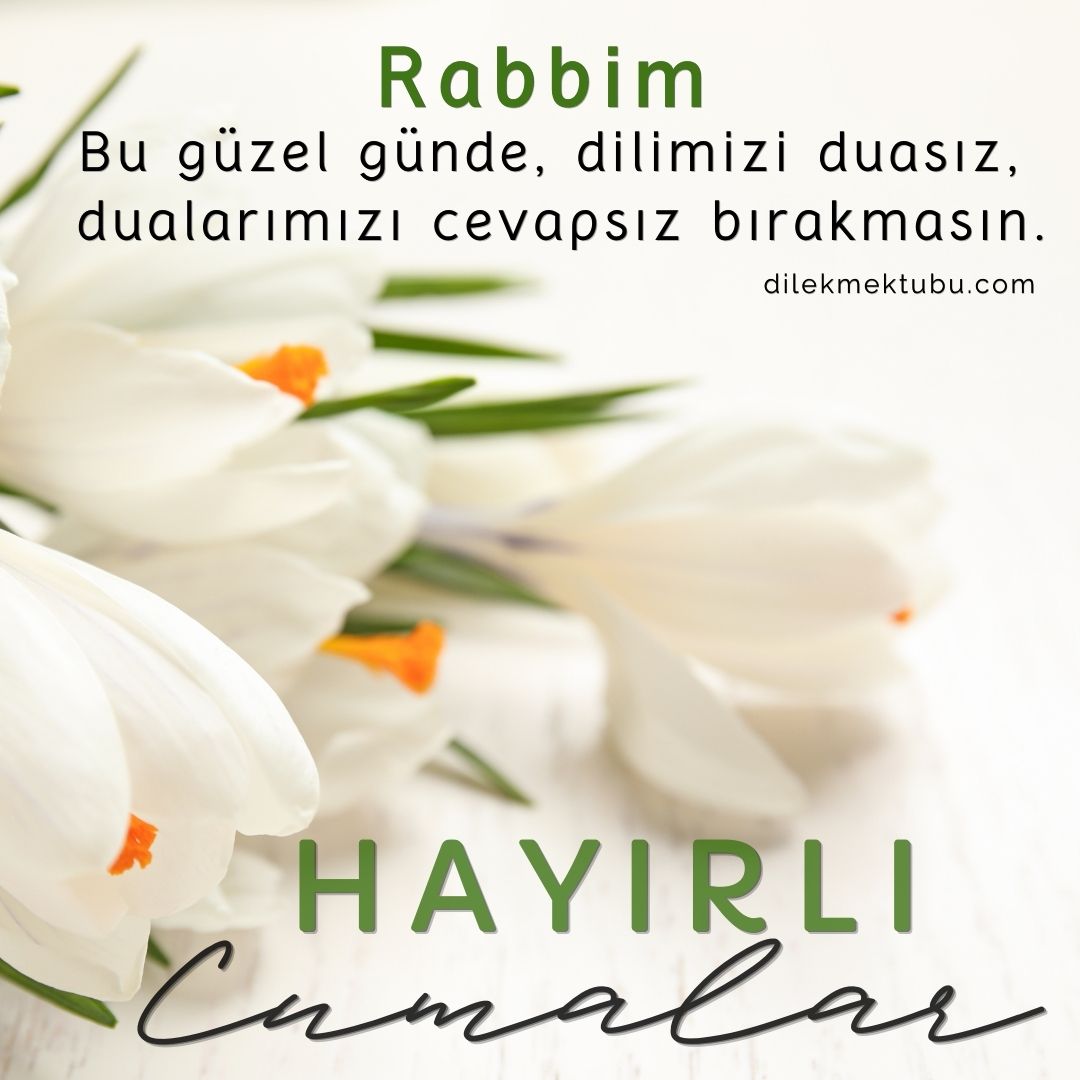 Hayırlı Cumalar
