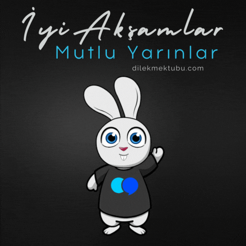 Hareketli Sevgi Dolu Resimli Akşam Mesajları