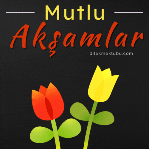 Hareketli Sevgi Dolu Resimli Akşam Mesajları