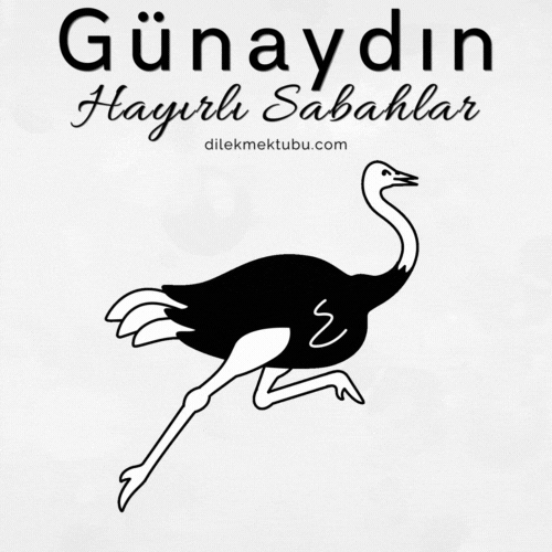 hareketli günaydın mesajları