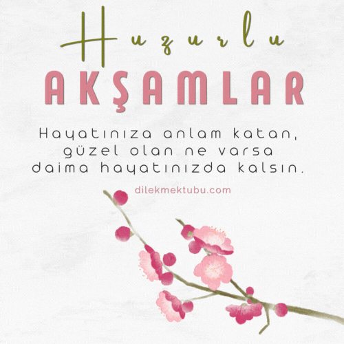 iyi akşamlar mesajı