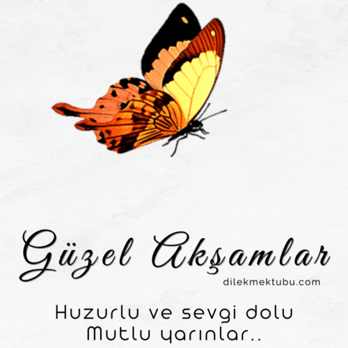 güzel akşamlar